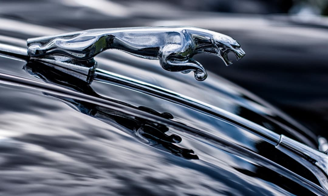 Jaguar Rentals Overview